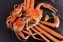 画像をギャラリービューアに読み込む, 大特価【限定100セット】越前ずわいがに1杯・せいこがに4杯セット