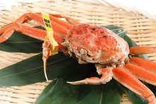 画像をギャラリービューアに読み込む, せいこがに小×1杯