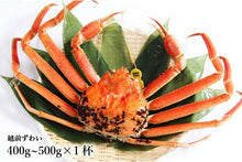 画像をギャラリービューアに読み込む, 越前ずわいがに(約400g~500g)×1杯