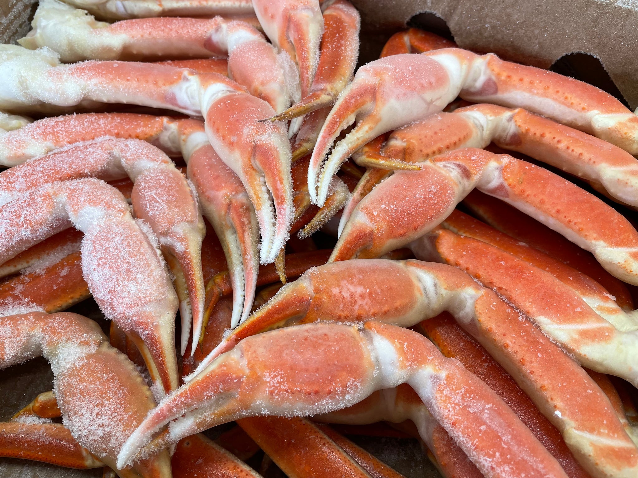 かに – 株式会社かねいち水産