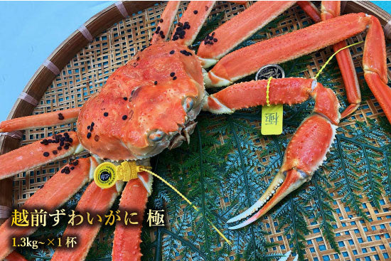 かに – 株式会社かねいち水産