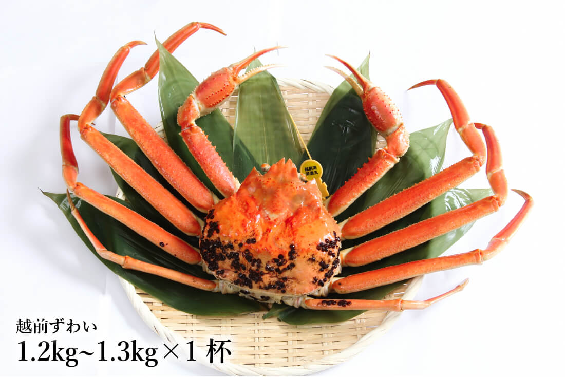 zuwai_1200-1300_2048x.jpg?v=